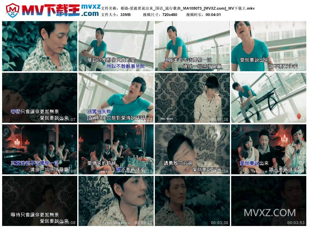 蔡晓-爱就要说出来_国语_流行歌曲_MA105073